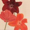 Kate Knight art print