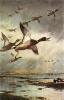 Archibald Thorburn art print