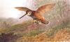Archibald Thorburn art print