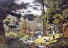 Robert Havell art print