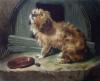 Sir Edwin Henry  Landseer art print