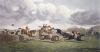 Sturgess art print