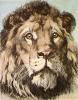 Herbert Thomas Dicksee art print