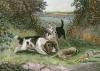John Frederick Lewis art print
