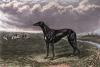 Edwin H. Hunt art print