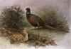 Charles Whymper art print