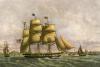 McMinn art print