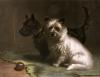 Margaret Collyer art print
