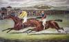Sidney R. Wombill art print