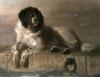 Sir Edwin Henry  Landseer art print