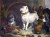 Sir Edwin Henry  Landseer art print