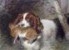 Sir Edwin Henry  Landseer art print