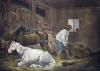 George Morland art print