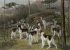 George Veal art print