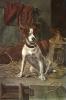William Weekes art print