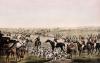 Henry Alken art print