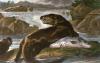 Sir Edwin Henry  Landseer art print