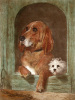 Sir Edwin Henry  Landseer art print