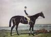 Sidney R. Wombill art print