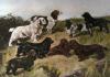 Arthur Wardle art print