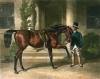 John Frederick Herring art print