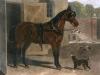 John Frederick Herring art print
