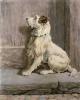 Herbert Thomas Dicksee art print