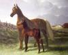 John Frederick Herring art print