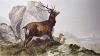 Richard Ansdell art print