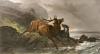 Richard Ansdell art print