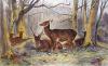 Rosa Bonheur art print