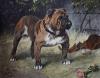 Arthur Wardle art print
