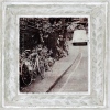 Teo Tarras art print