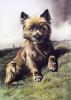 Rosa Bonheur art print
