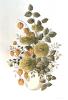 Kathleen Caddick art print