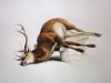 Sir Edwin Henry  Landseer art print