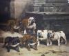 Arthur Wardle art print