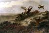 Archibald Thorburn art print