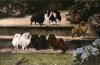 Arthur Wardle art print