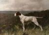 Arthur Wardle art print
