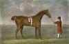 John Sartorius art print