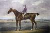 John Sartorius art print