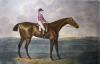 John Sartorius art print
