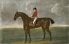 George Stubbs art print