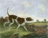 Francis Calcraft Turner art print
