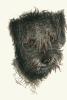 Harber art print