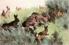 Winifred Austen art print