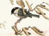 Winifred Austen art print