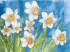 Giuseppina Tartagni art print