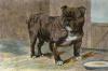 Arthur Wardle art print